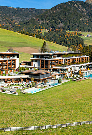 Hotel Alpen Tesitin